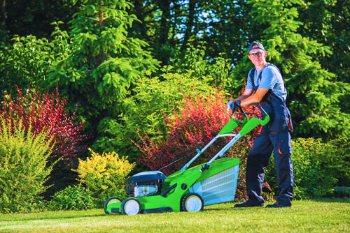 Lawn in Winnipeg