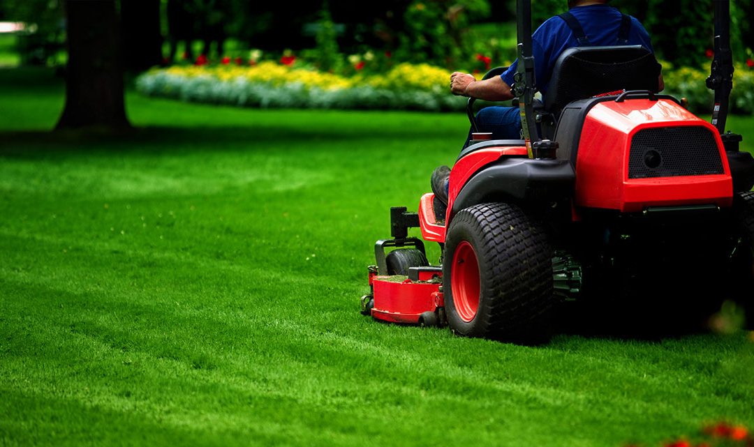 Grass Cutting in Winnipeg